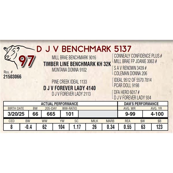 D J V BENCHMARK 5137