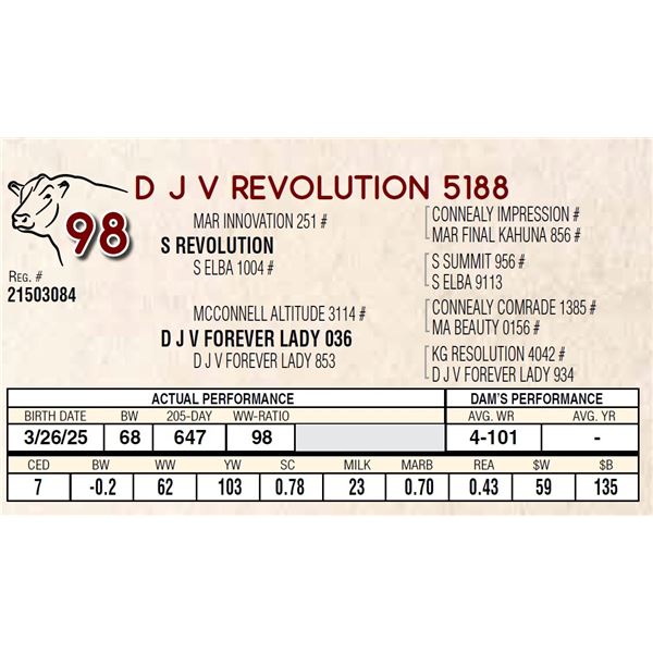 D J V REVOLUTION 5188