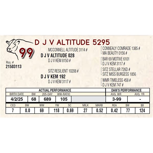 D J V ALTITUDE 5295