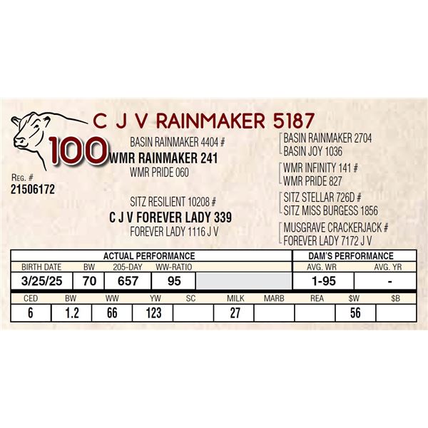 C J V RAINMAKER 5187