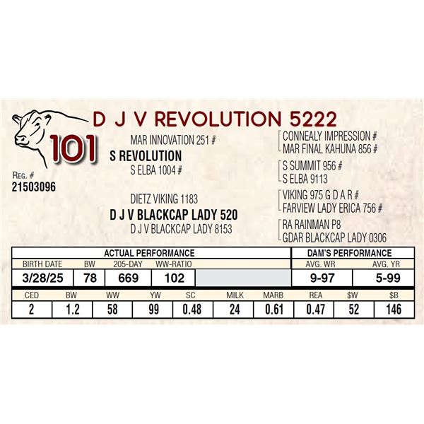 D J V REVOLUTION 5222