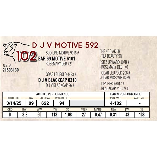 D J V MOTIVE 592