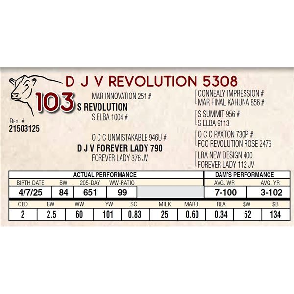 D J V REVOLUTION 5308