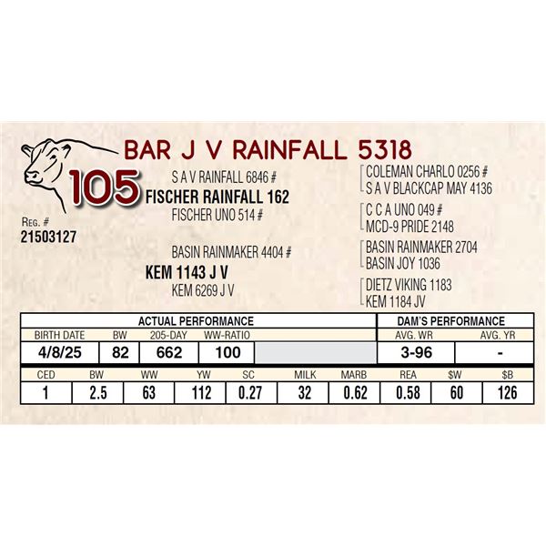 BAR J V RAINFALL 5318