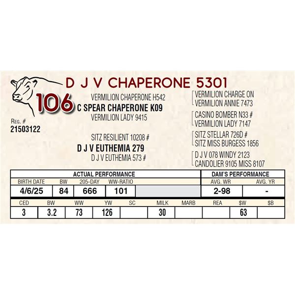 D J V CHAPERONE 5301