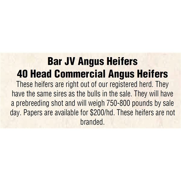 65 Head Commercial Angus Heifers (779 LBS.)