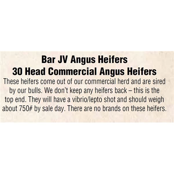 25 Head Commercial Angus Heifers (755 LBS.)