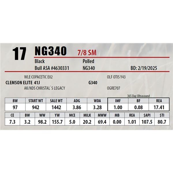 Open Gate Ranch Lot 17