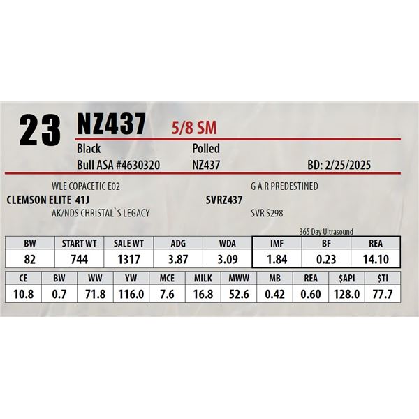 Open Gate Ranch Lot 23