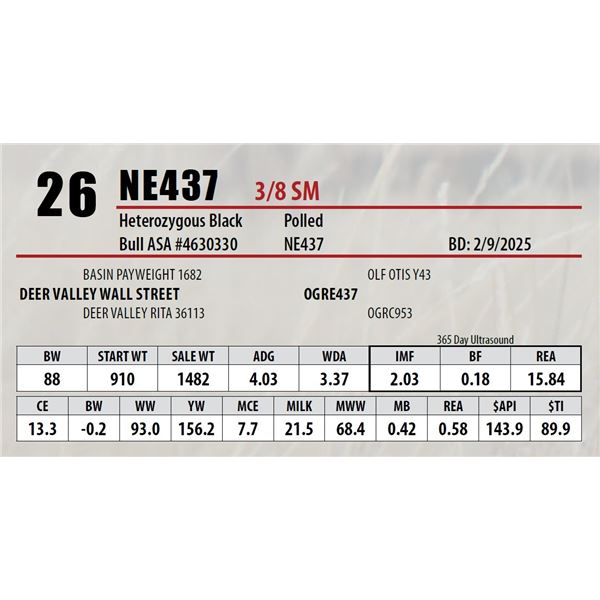 Open Gate Ranch Lot 26