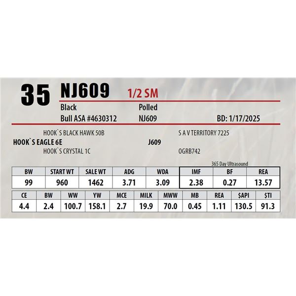 Open Gate Ranch Lot 35