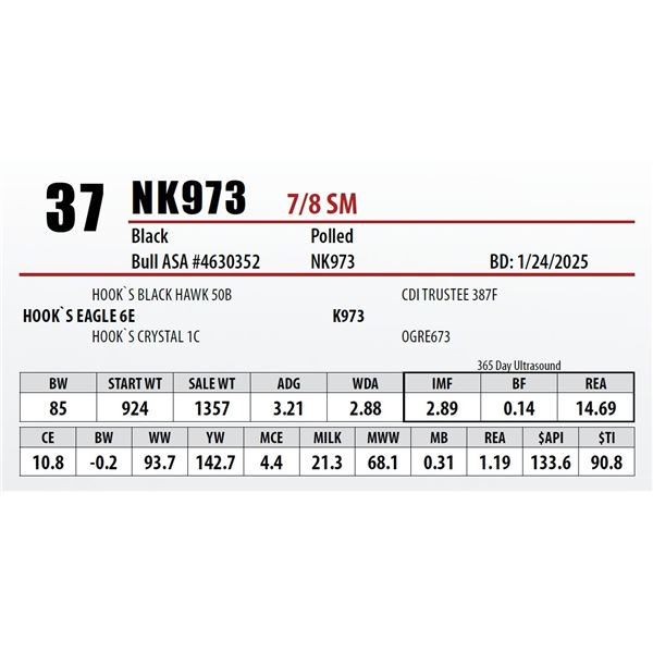 Open Gate Ranch Lot 37
