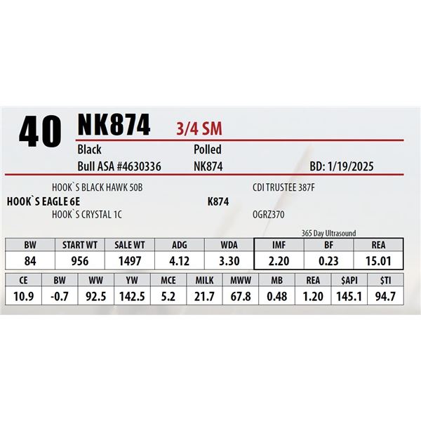 Open Gate Ranch Lot 40