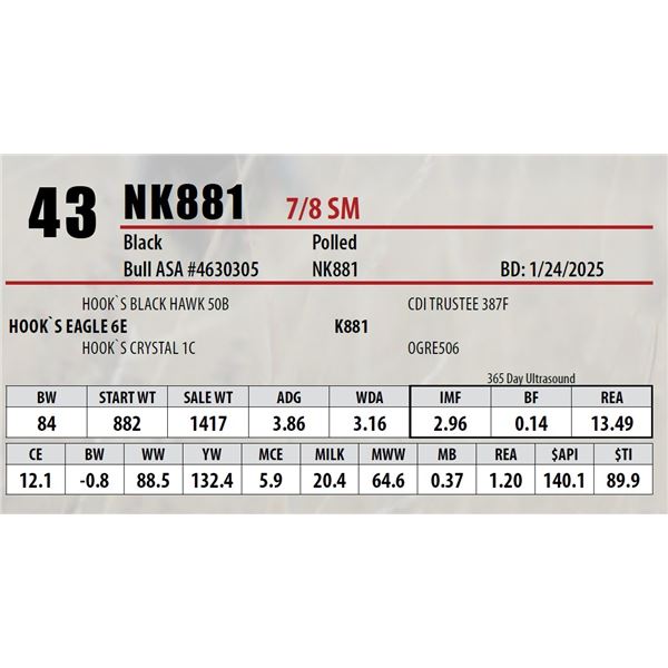 Open Gate Ranch Lot 43