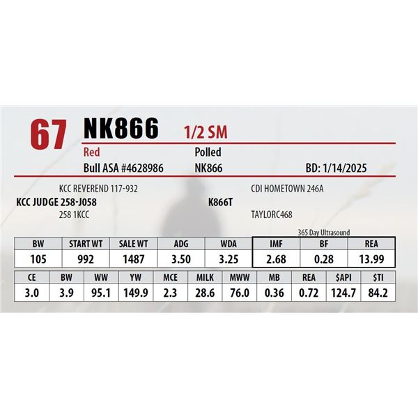 Open Gate Ranch Lot 67
