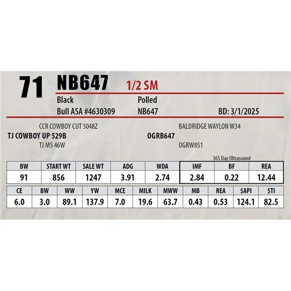 Open Gate Ranch Lot 71