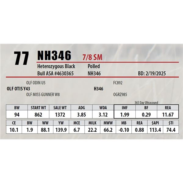 Open Gate Ranch Lot 77