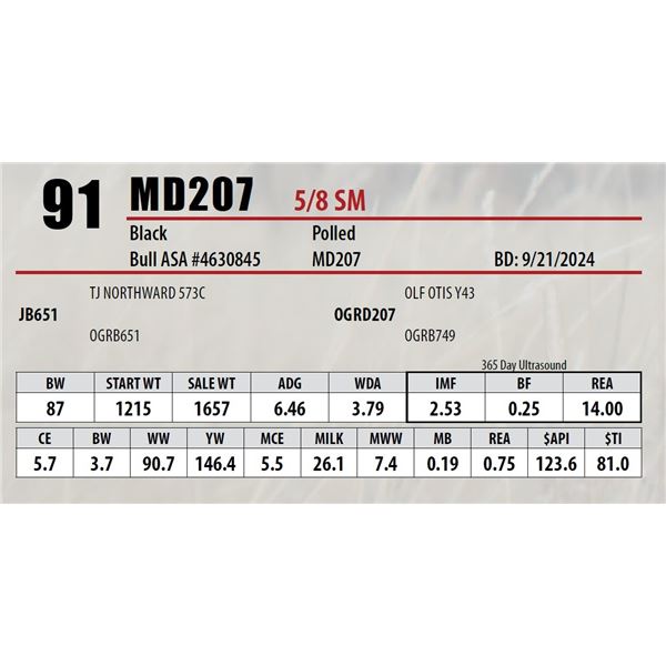 Open Gate Ranch Lot 91