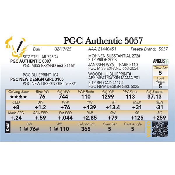 PGC Authentic 5057