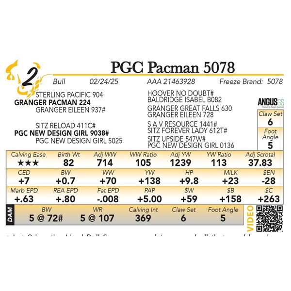 PGC Pacman 5078