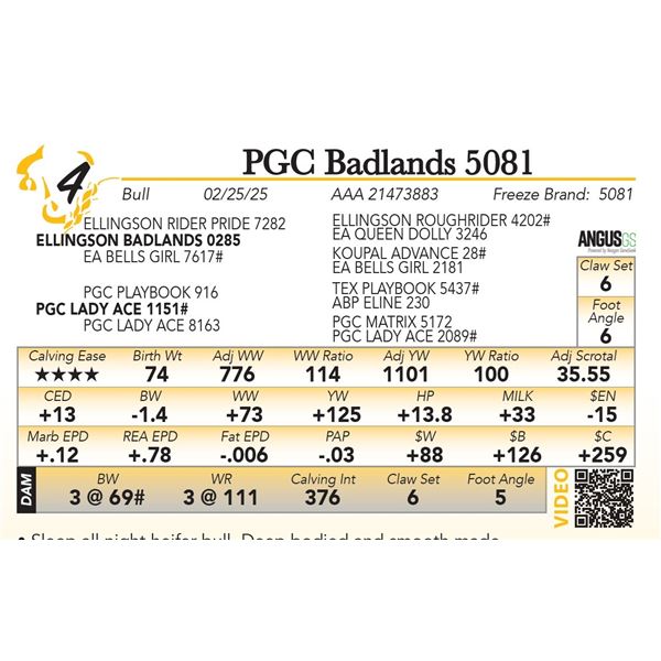 PGC Badlands 5081