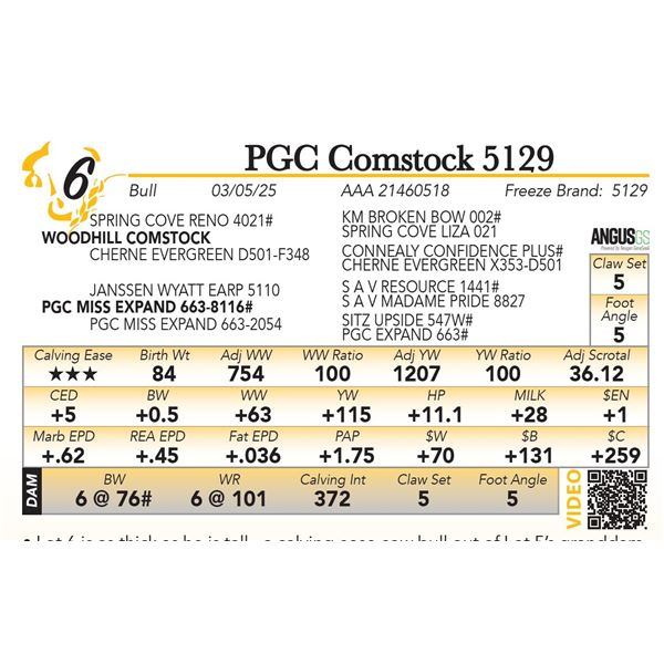 PGC Comstock 5129