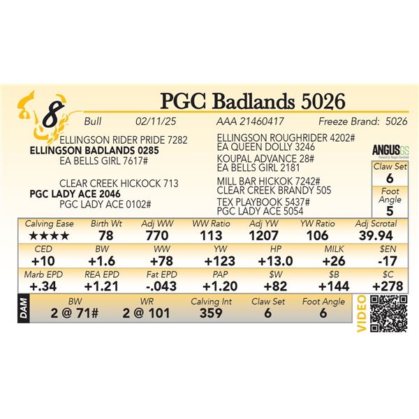 PGC Badlands 5026