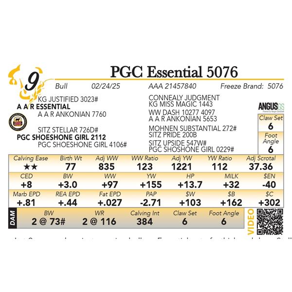 PGC Essential 5076