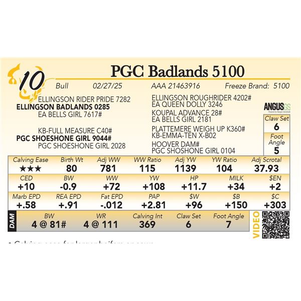 PGC Badlands 5100