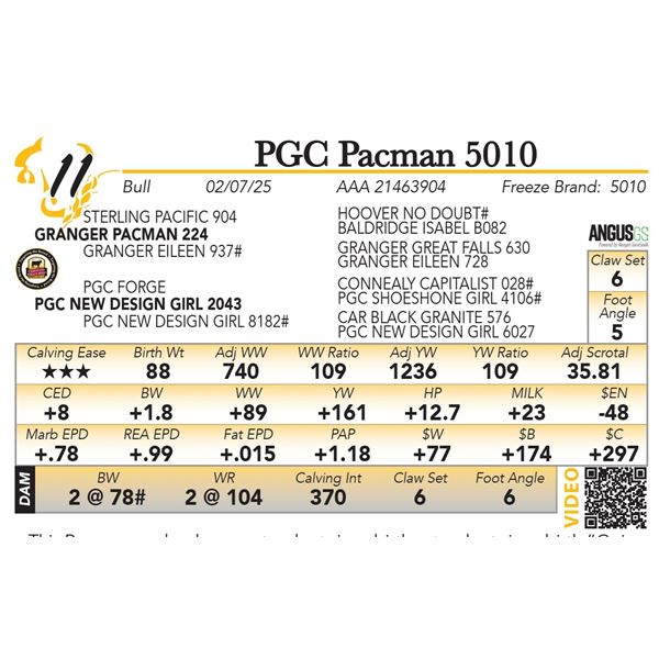 PGC Pacman 5010