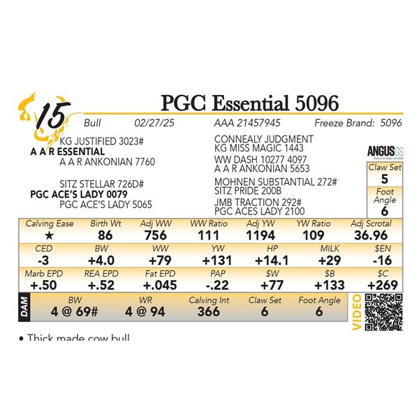 PGC Essential 5096