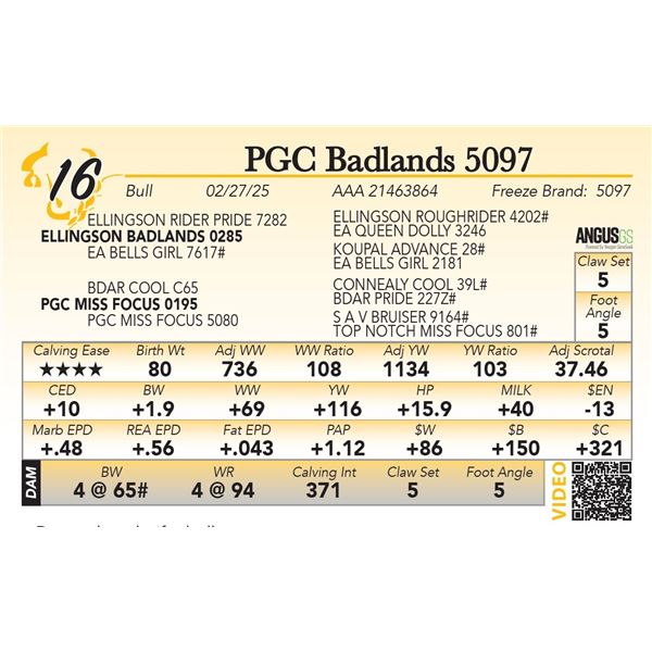 PGC Badlands 5097