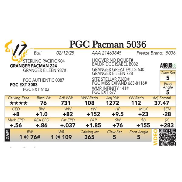 PGC Pacman 5036