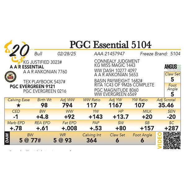 PGC Essential 5104