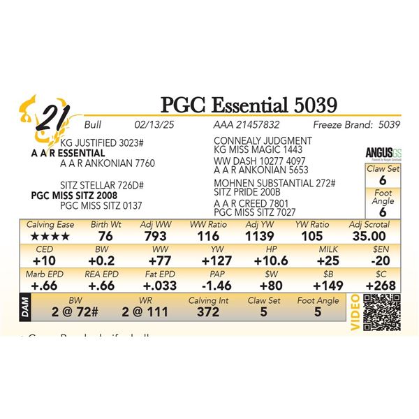 PGC Essential 5039