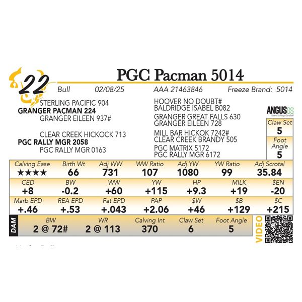 PGC Pacman 5014