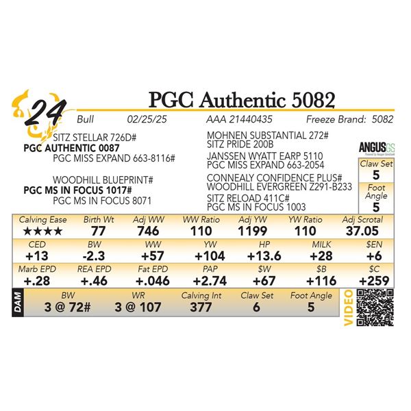 PGC Authentic 5082