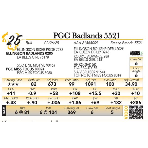 PGC Badlands 5521