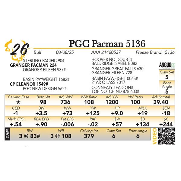 PGC Pacman 5136