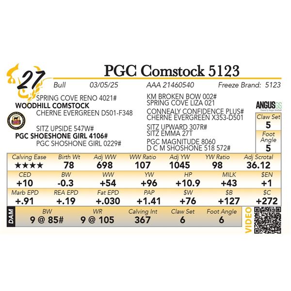 PGC Comstock 5123
