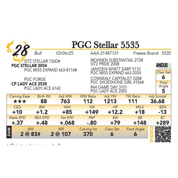 PGC Stellar 5535
