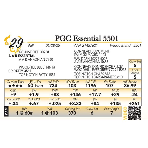PGC Essential 5501