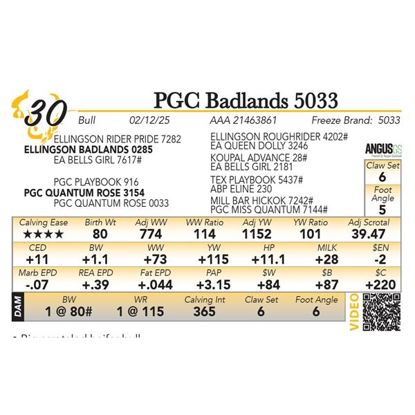 PGC Badlands 5033