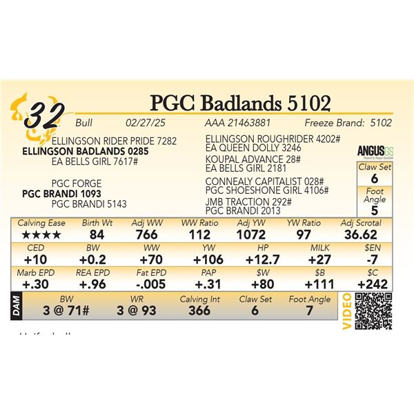 PGC Badlands 5102