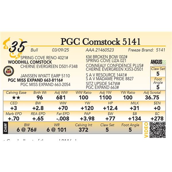 PGC Comstock 5141