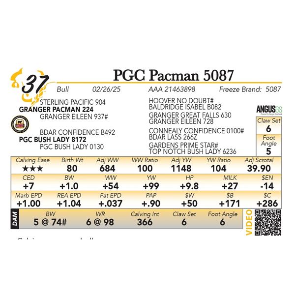 PGC Pacman 5087