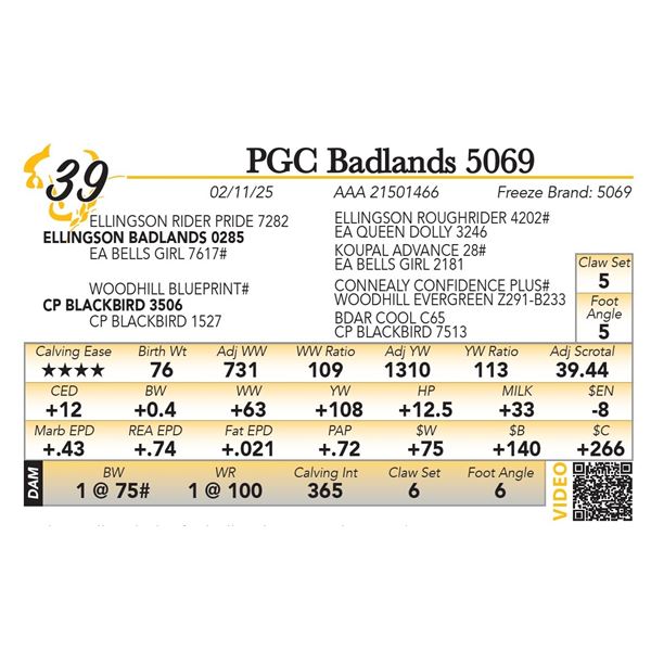 PGC Badlands 5069
