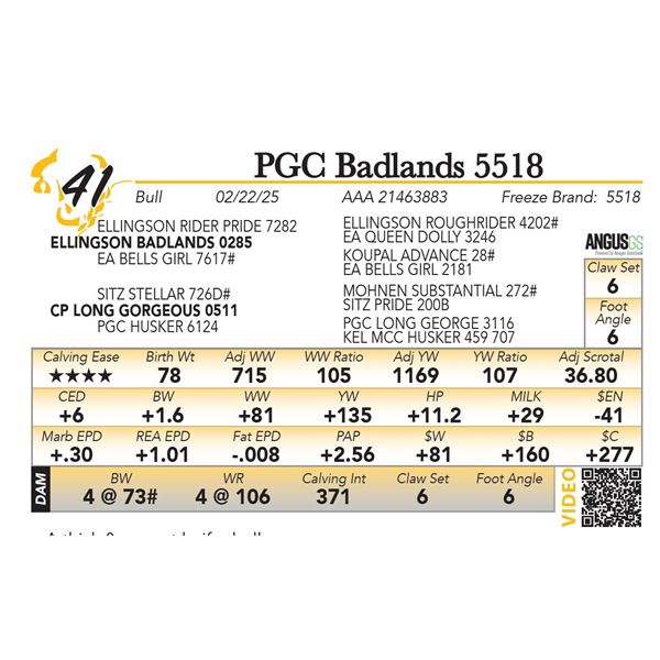 PGC Badlands 5518