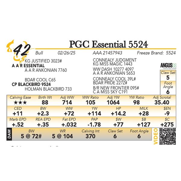 PGC Essential 5524