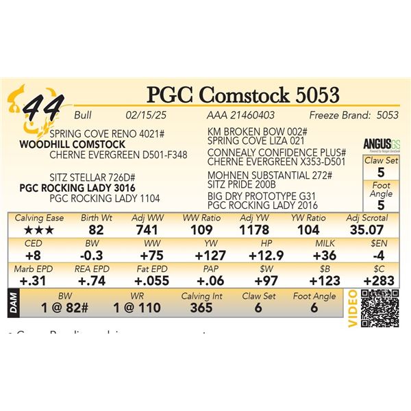 PGC Comstock 5053